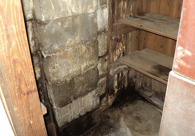 Basement waterproofing and foundation repair in Macomb County, MI