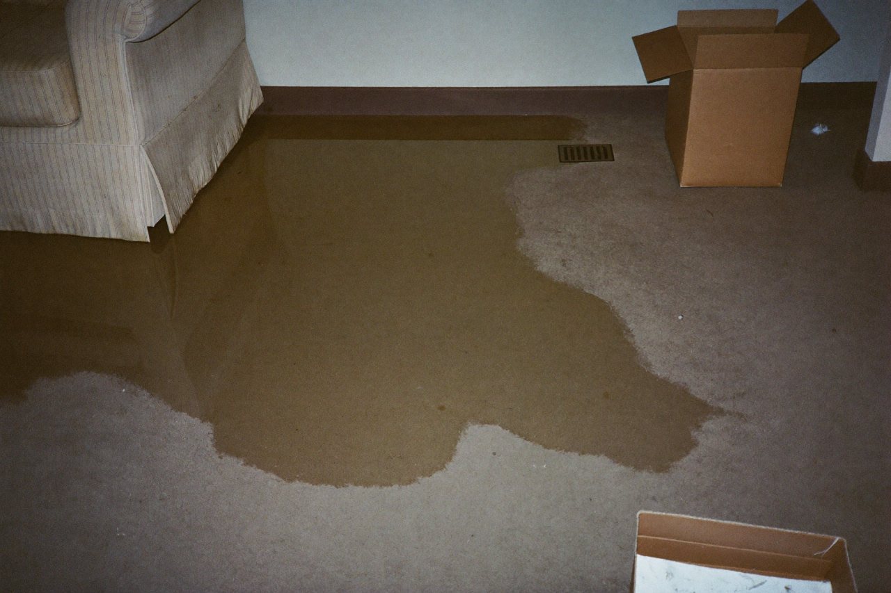 Standing water across a finished basement floor