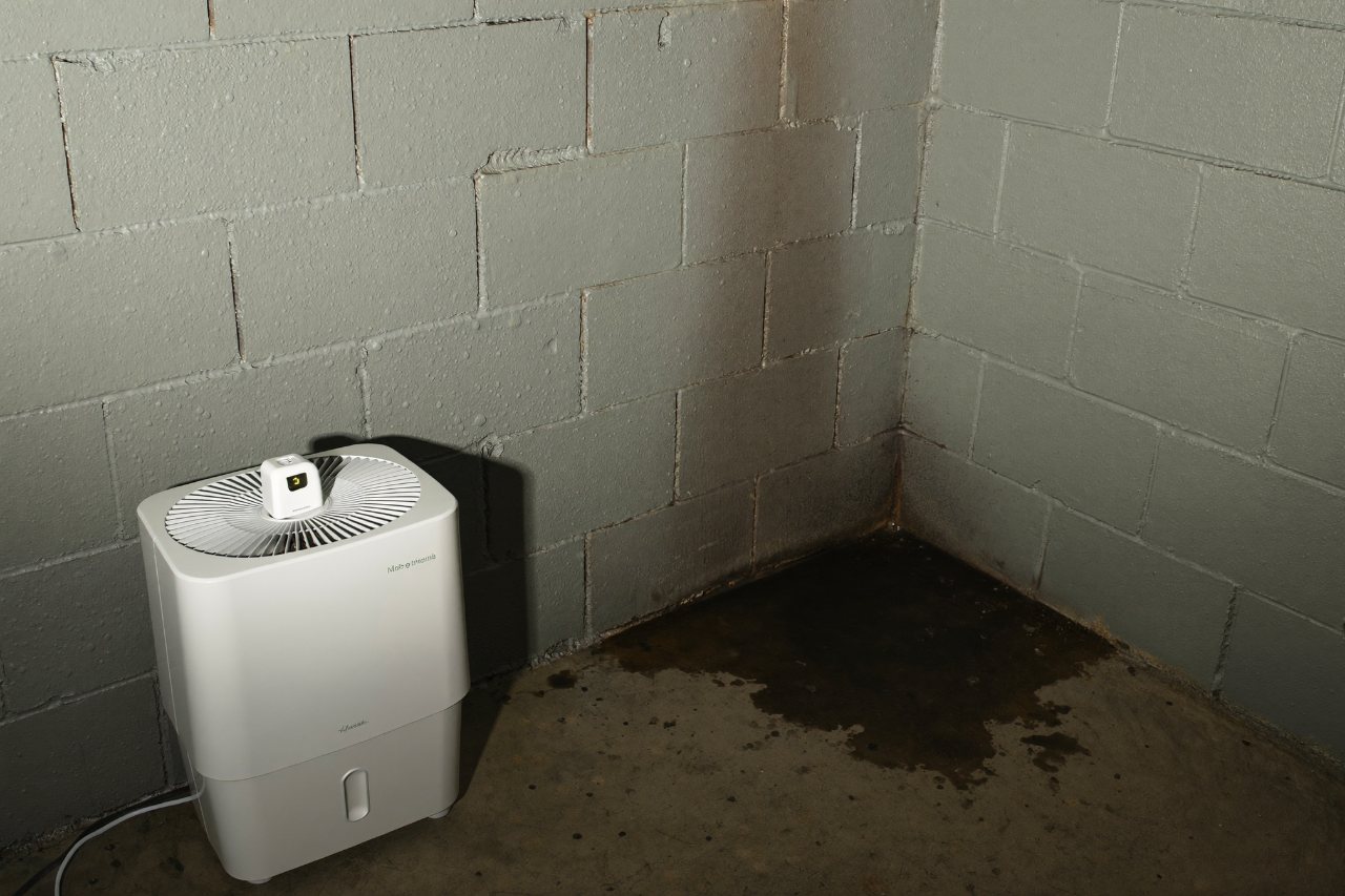 Condensation on a basement block wall with a dehumidifier running