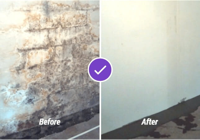 Basement Waterproofing Before & After Fenton MI Now Dry 